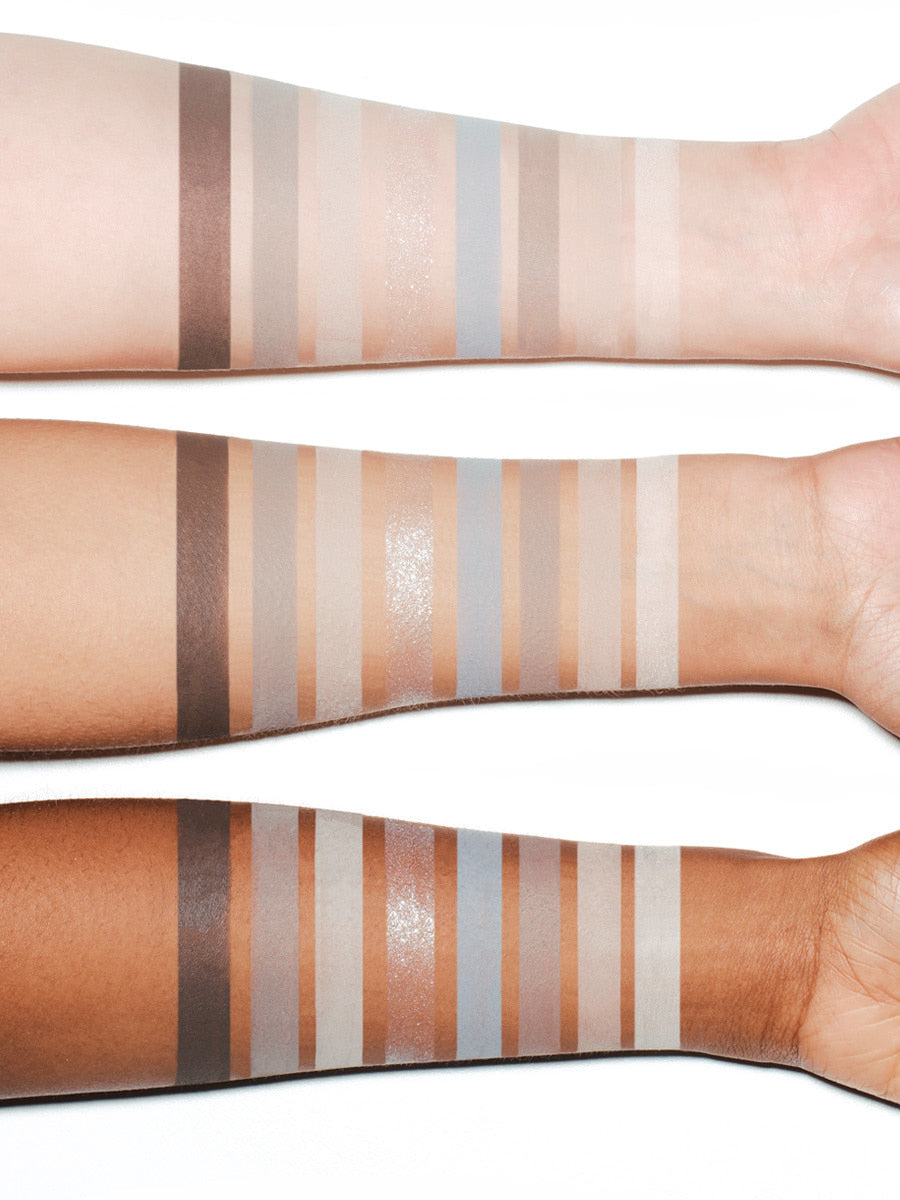 RISKY Pigment Eyeshadow Palette / DUSTY BLUE