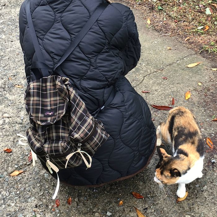 fennec Berry Pocket Backpack / check brown