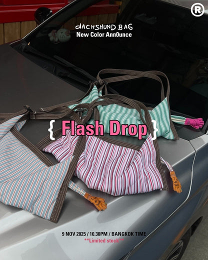 [香港現貨✨] [官方代理] Dachshund Bag - Flash Drop⚡️