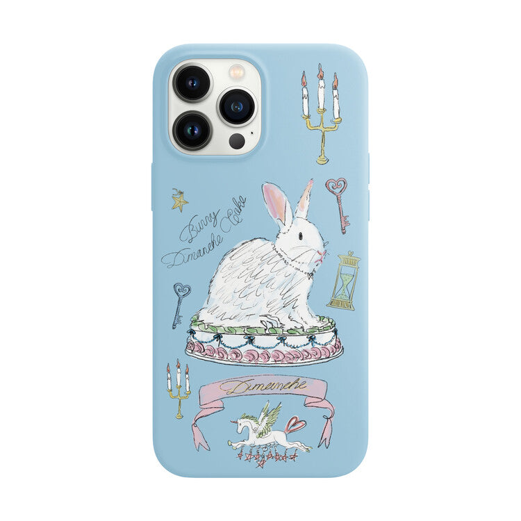 [rei同款🎀] BUNNY CAKE CASE / 3COLORS