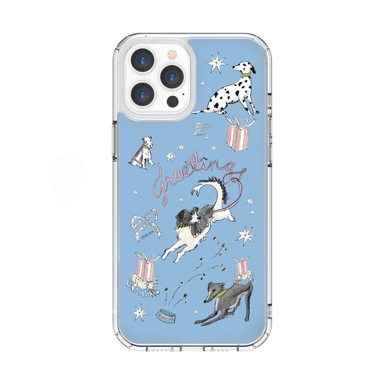 LEAPY BIRTHDAY CASE / 3COLORS