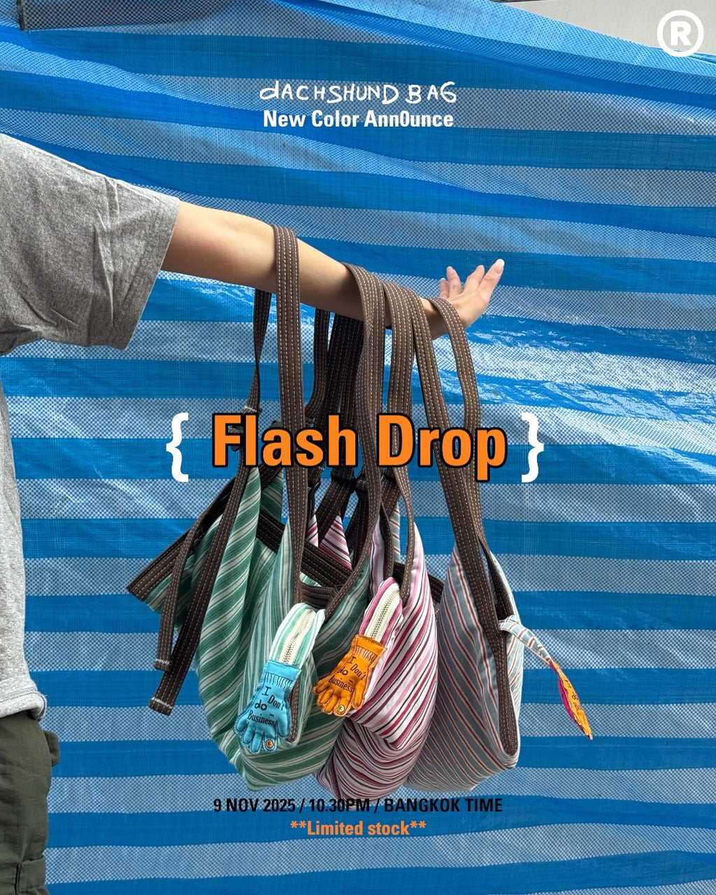Dachshund Bag - Flash Drop⚡️
