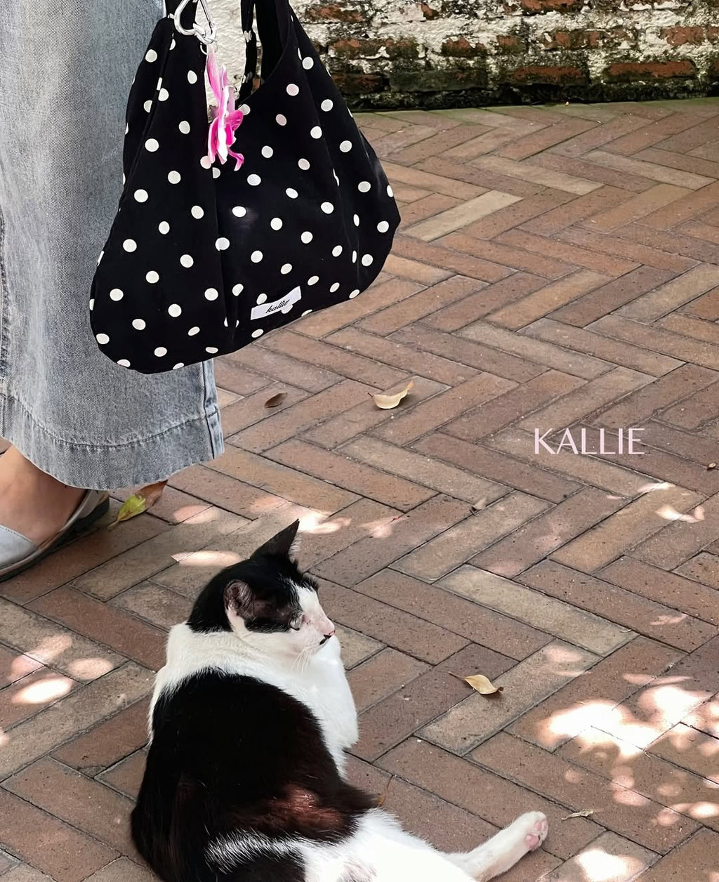 [團購價✨] (LE) DOTRA Cross/Shoulder Bag