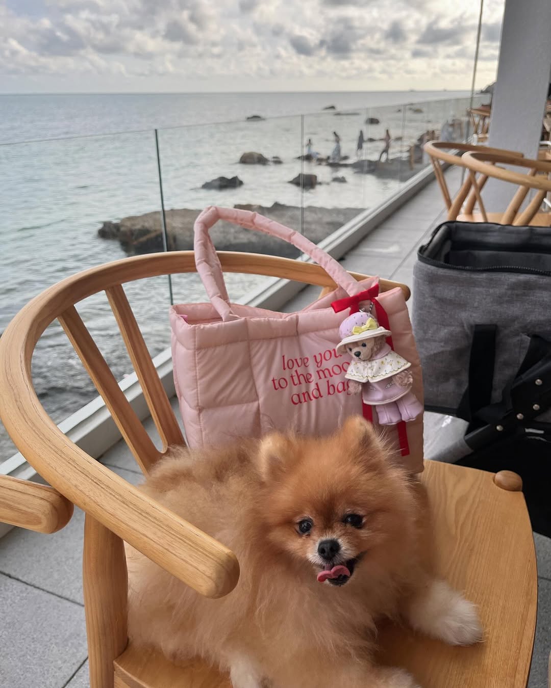 Chubby Shoulder Totebag / 5colors