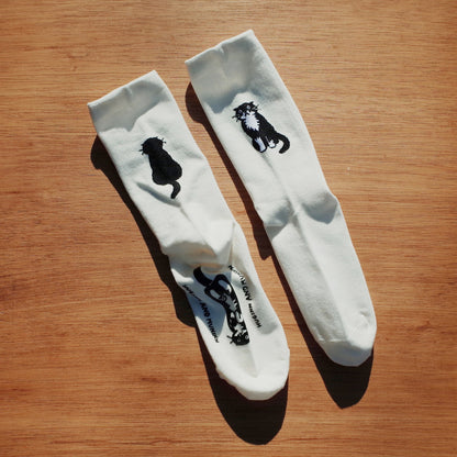 韓國文創 chocolateye with SOCKSTAZ front & back mo socks - made in Korea (by Yeonju Choi)