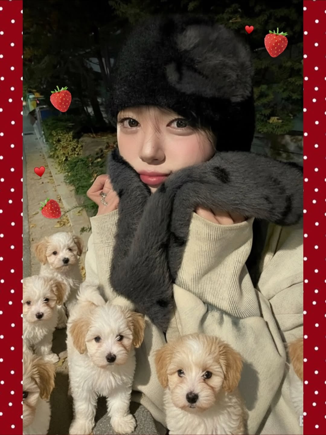 [店主自留款🍓] [video jockey] Star Berry Muffler - 6 colors