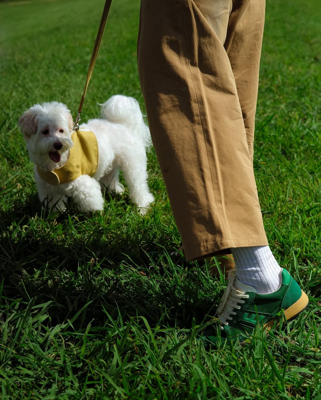 ept DIEGO - GREEN/D.GREEN